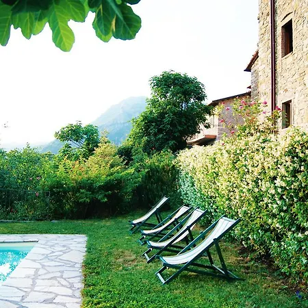 Archi Cerageto